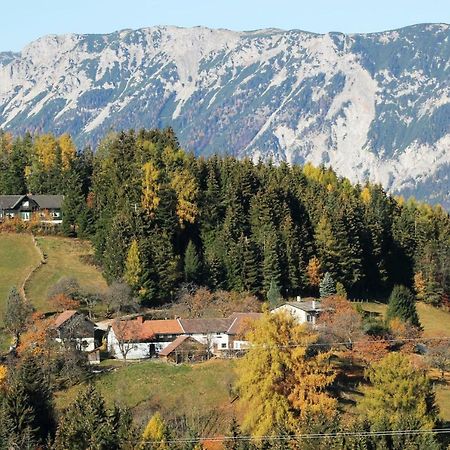 Miniferienwohnung Fuer Unkompliziertes Naturliebhaberpaerchen Payerbach Dış mekan fotoğraf