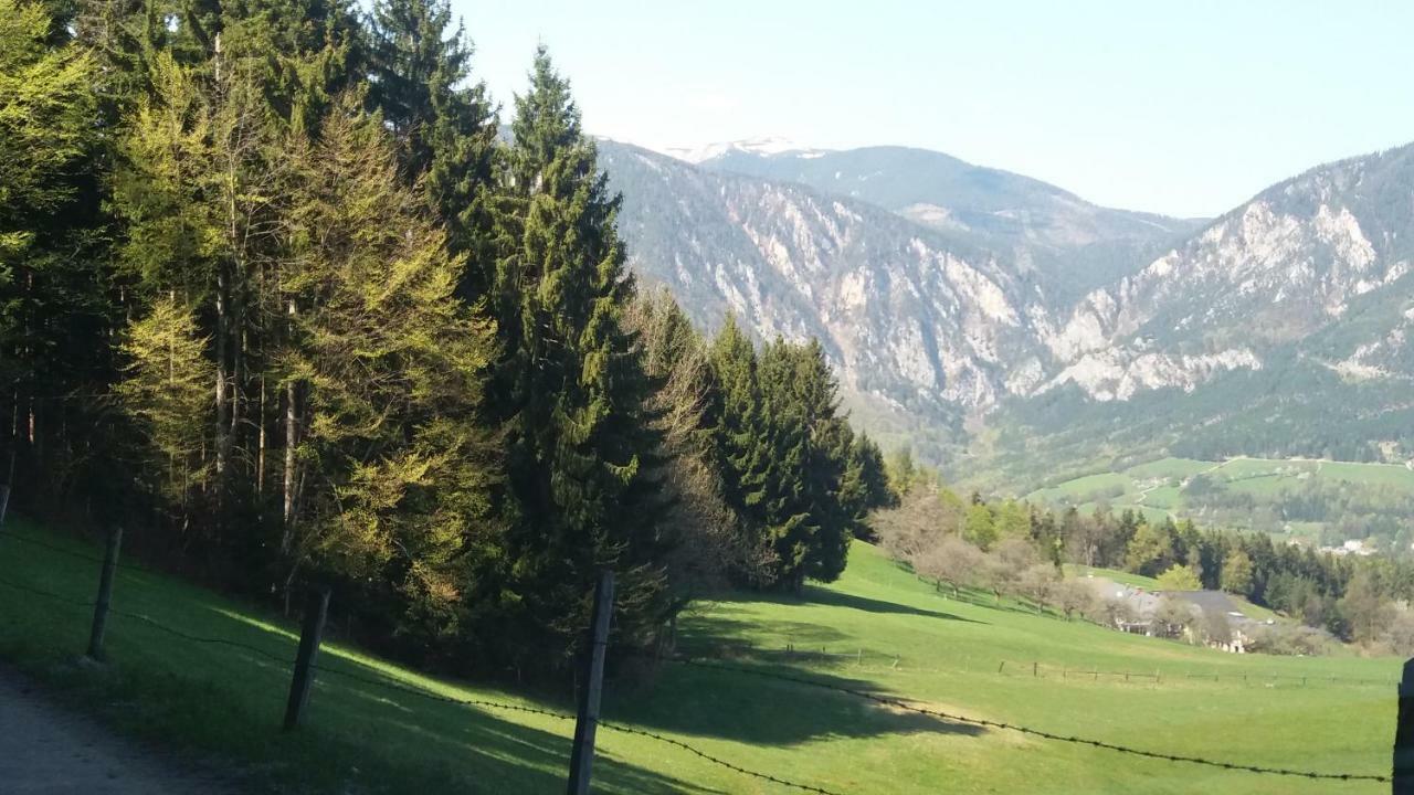 Miniferienwohnung Fuer Unkompliziertes Naturliebhaberpaerchen Payerbach Dış mekan fotoğraf