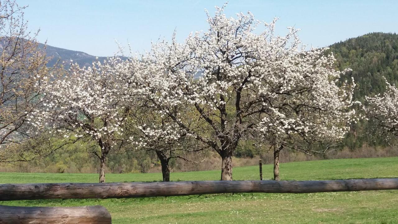 Miniferienwohnung Fuer Unkompliziertes Naturliebhaberpaerchen Payerbach Dış mekan fotoğraf